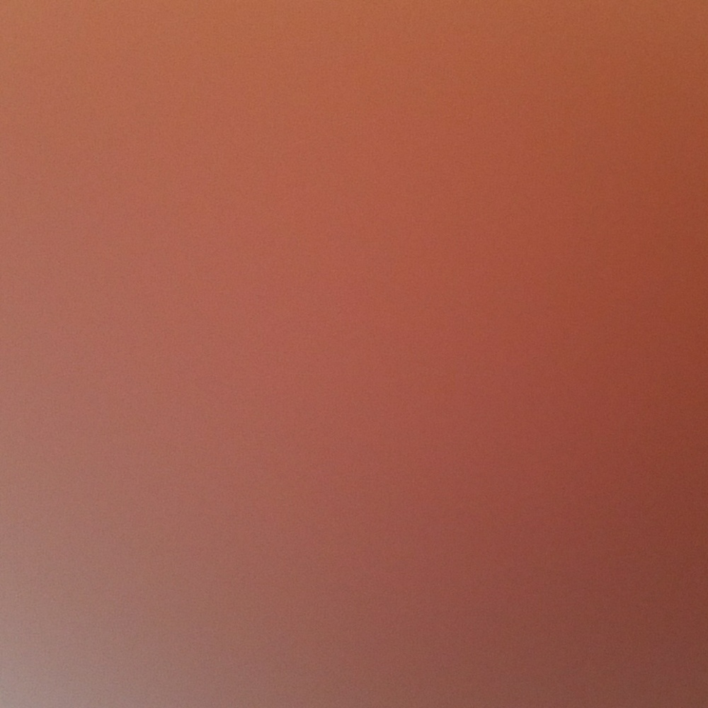 Meet your Posher, Toni