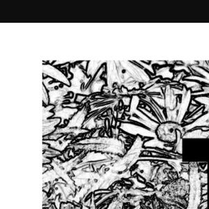 Meet your Posher, Gracie