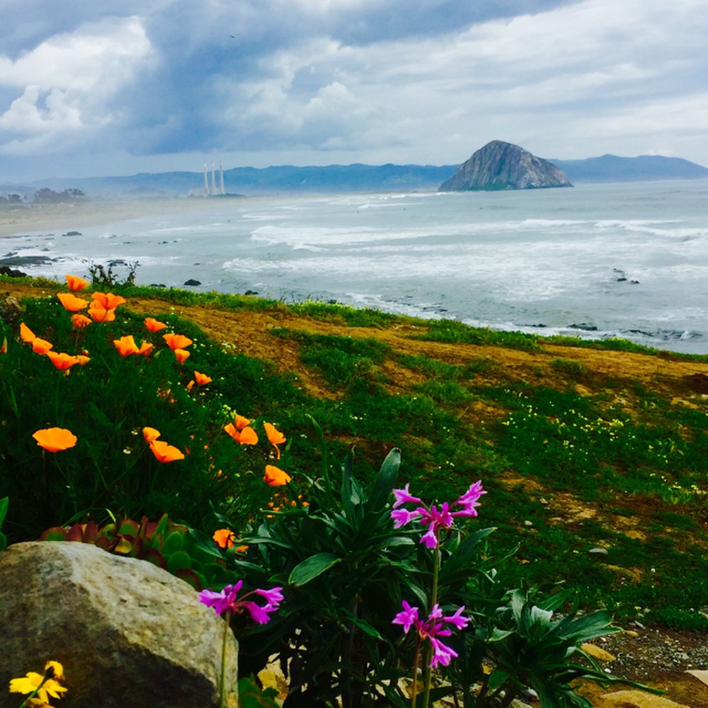 Meet your Posher, Danette