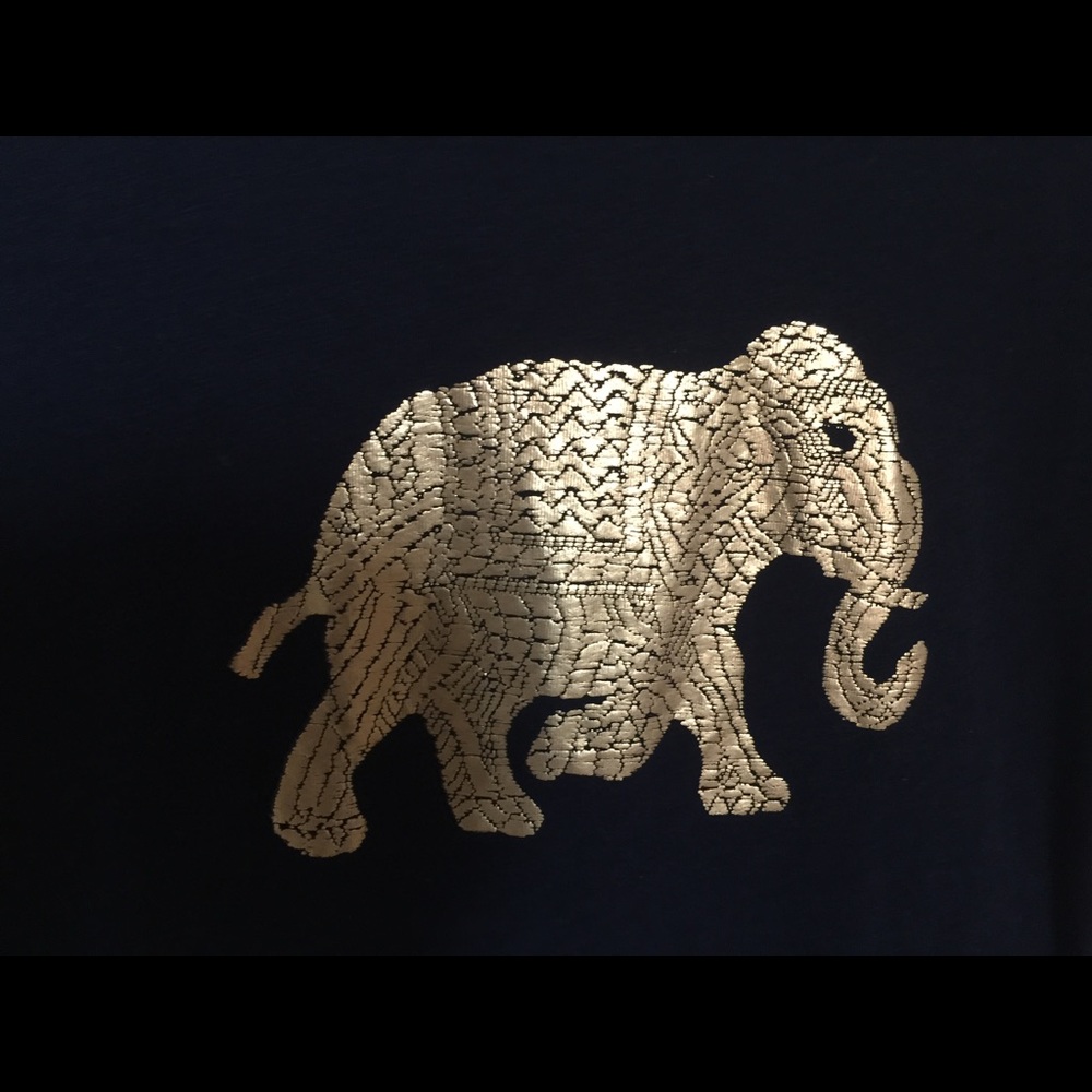 💥HOLIDAY SALE XS J Crew Elephant Top NWT