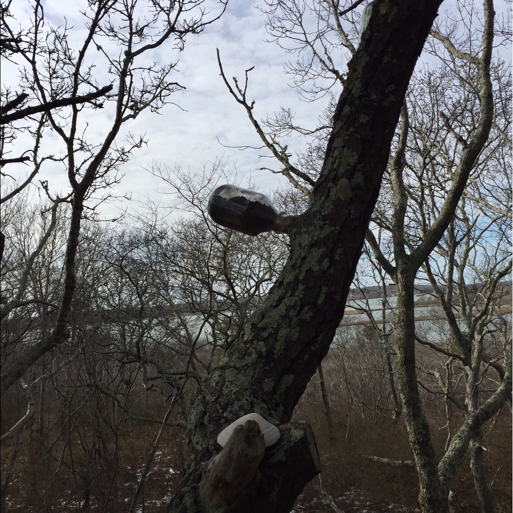 Meet your Posher, Arlene