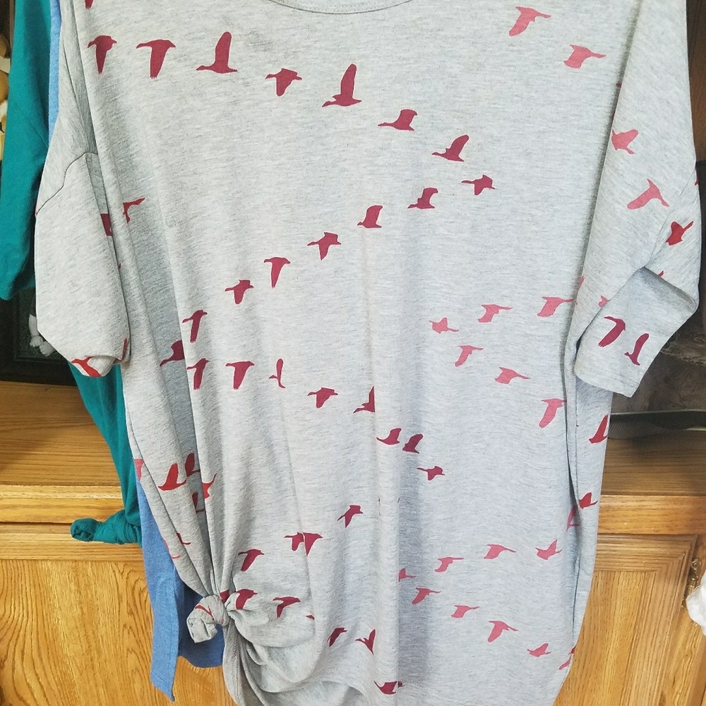 Xs bird irma