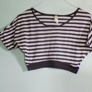 Gray and White Striped Crop Top