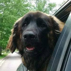 Meet your Posher, Shelly