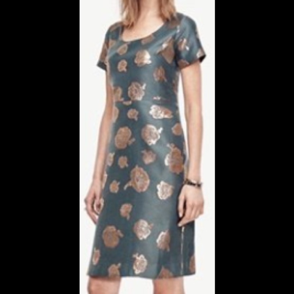 Ann Taylor Dress