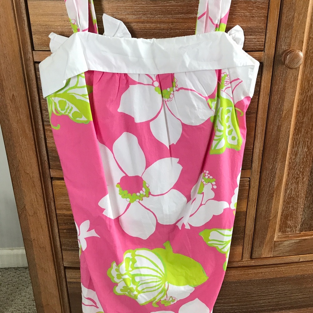 Lilly Pulitzer Size 4 Dress