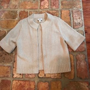 Ann Taylor Loft sweater