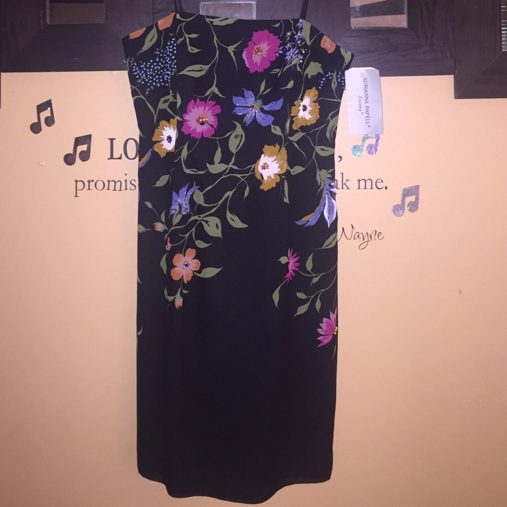 NWT,Adrianna papell evening dress