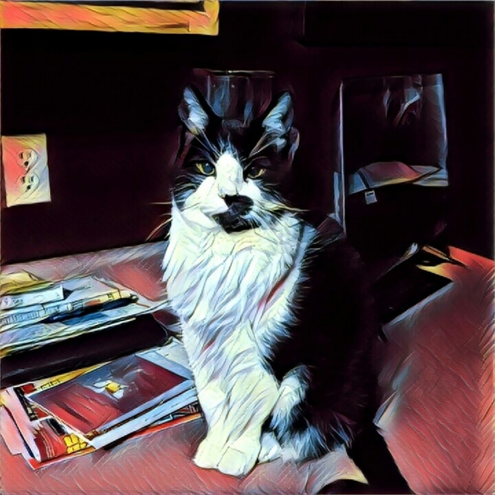 Meet your Posher, Autumn