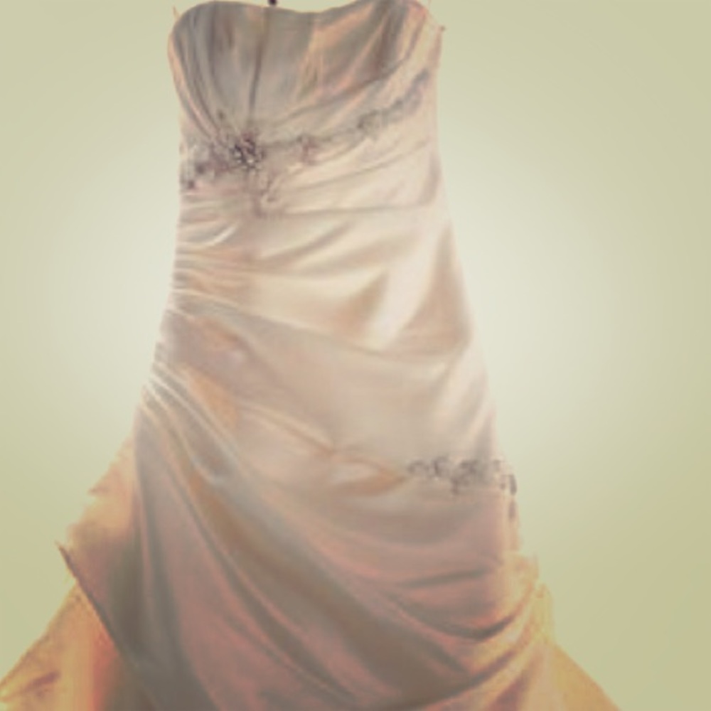 EXQUISITE Maggie Sotterro Wedding Gown.