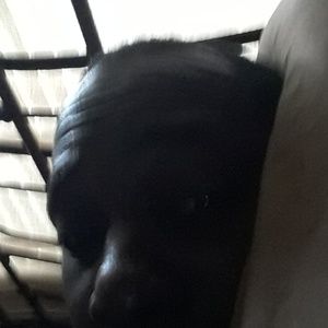 Meet your Posher, Patrick