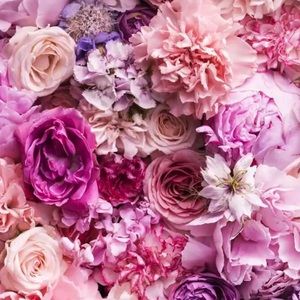 Meet your Posher, Zee