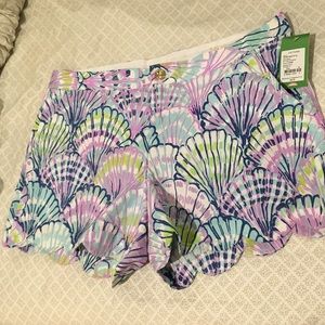 Oh shello Callahans NWT