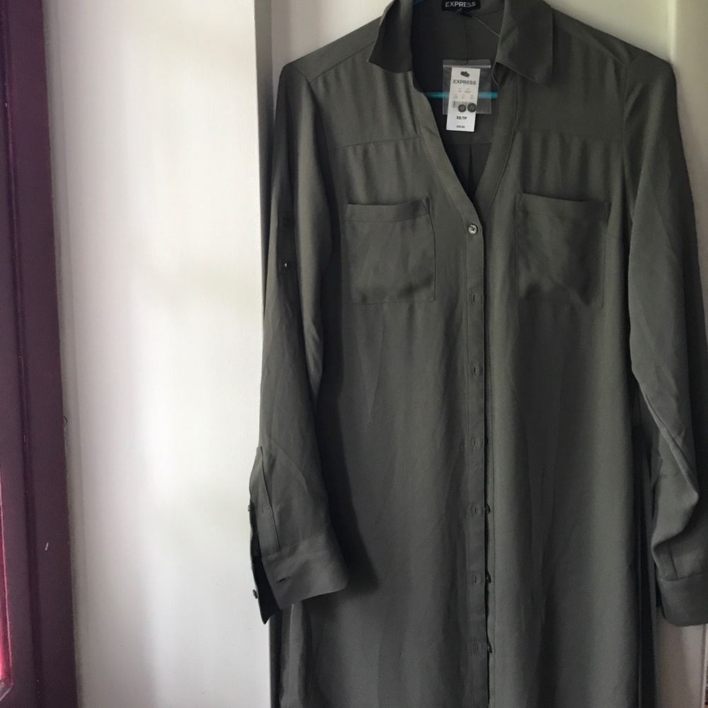 NWT EXPRESS DRESS