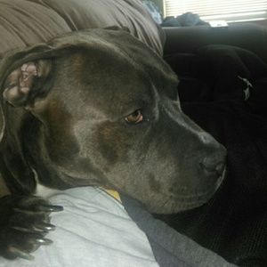 Meet your Posher, Ariana