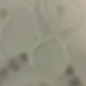 Meet your Posher, Nia