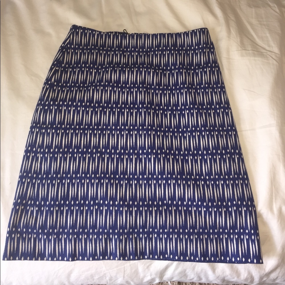 Ann Taylor Skirt NWOT