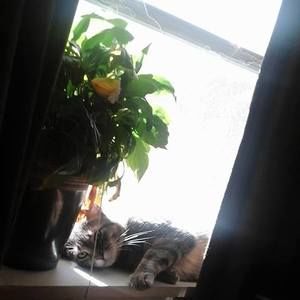 Meet your Posher, Krissy