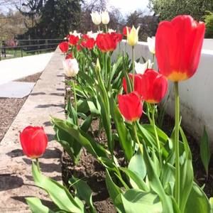 Meet your Posher, Chelsea