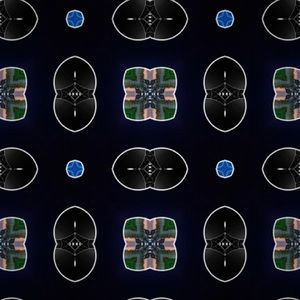 Meet your Posher, Laney