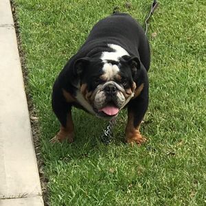 Meet your Posher, Bryan