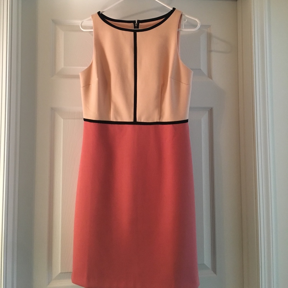 The Loft sheath dress. Worn once!