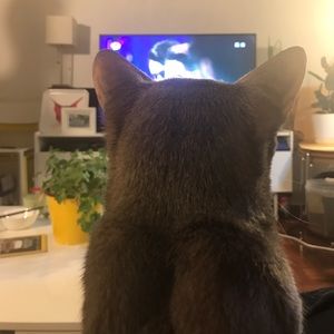 Meet your Posher, Brian