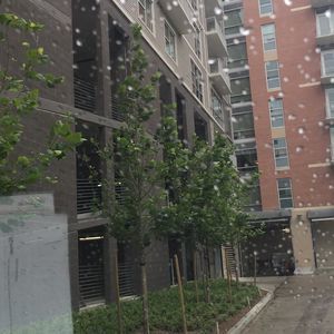 Meet your Posher, Lola