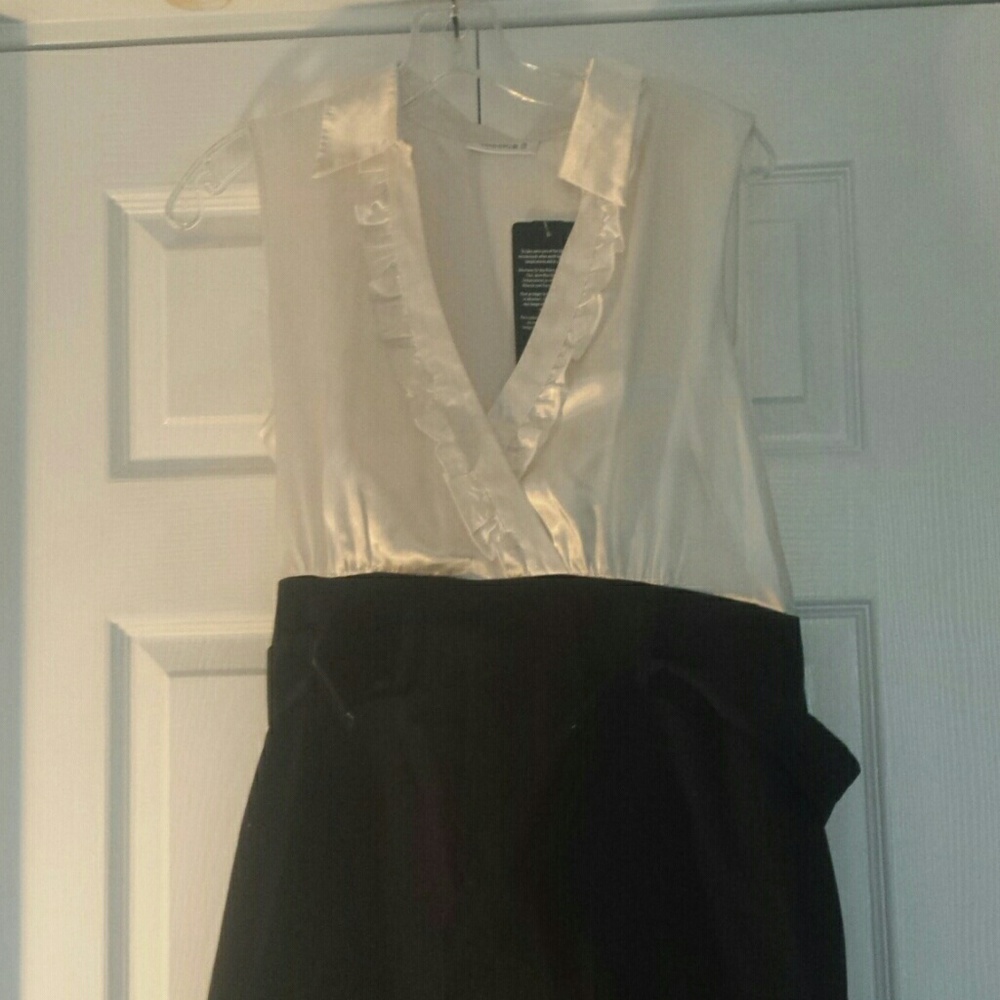 NWT pencil skirt dress