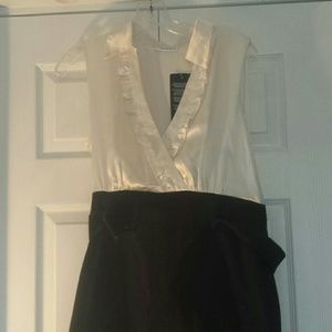 NWT pencil skirt dress