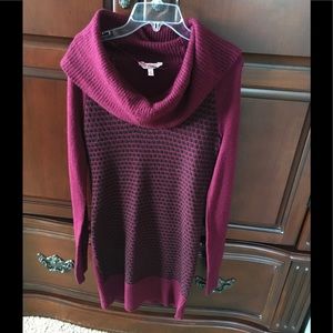 Fitted sweater dress