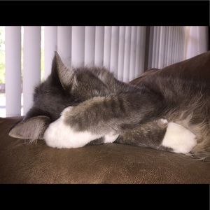 Meet your Posher, Lise