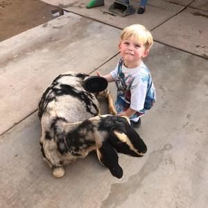 Meet your Posher, Tammy