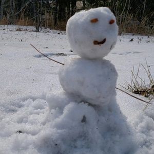 Meet your Posher, Bev