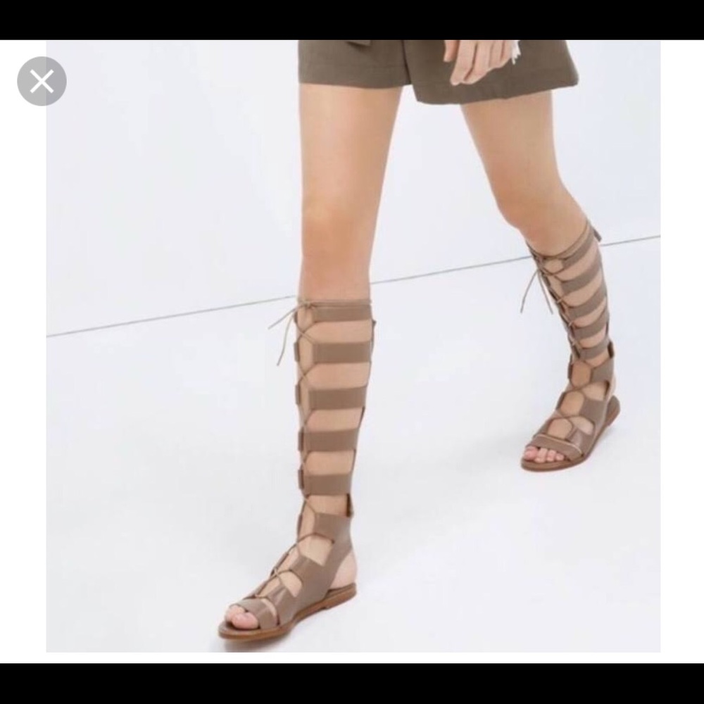 Gladiator Sandals - image 4