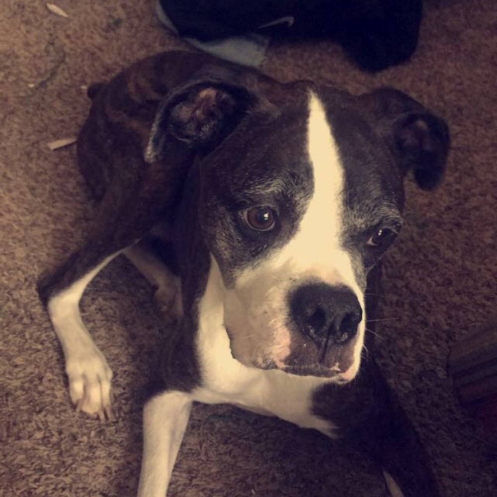 Meet your Posher, Mya