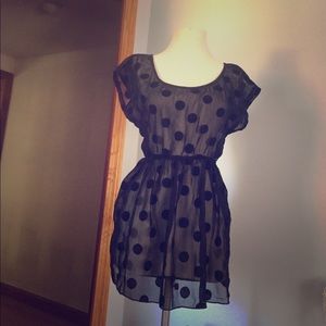 Black Sheer Polka Dot Top.