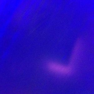 Meet your Posher, Nicholas