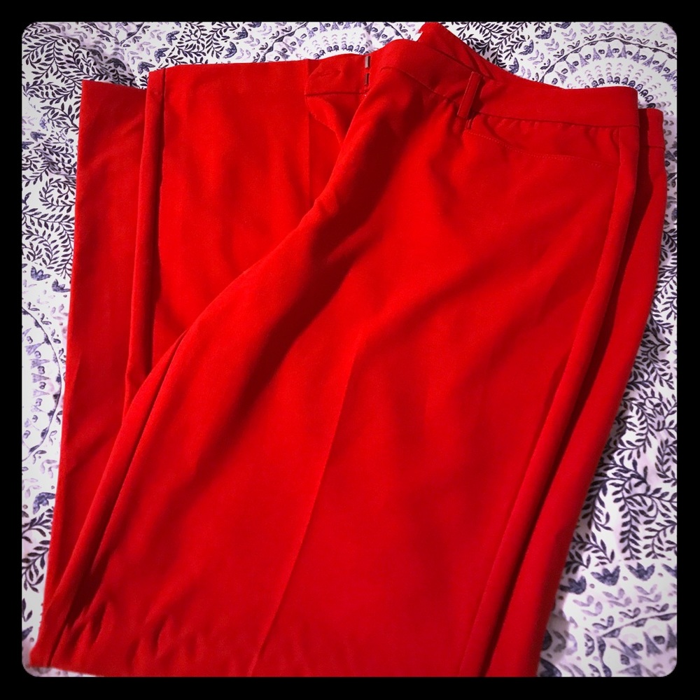 NY & Co pants
