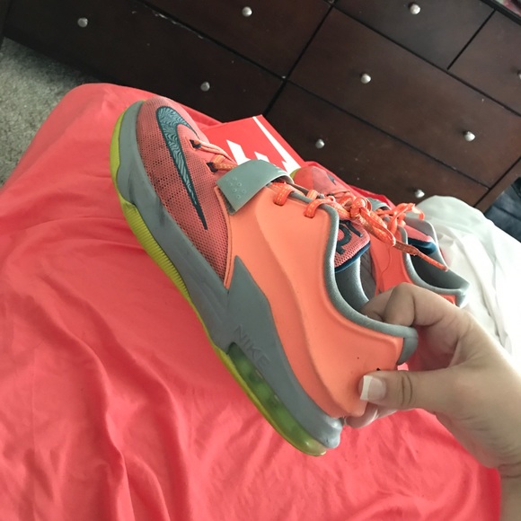 Kds - Picture 3 of 3