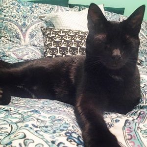 Meet your Posher, Rachel