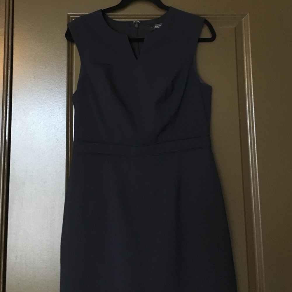 The Limited Collection Navy Dress