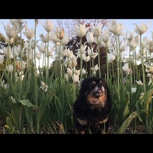 Meet your Posher, Innesah