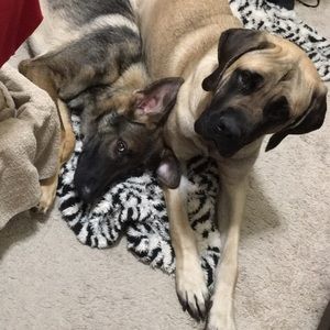 Meet your Posher, Kristina