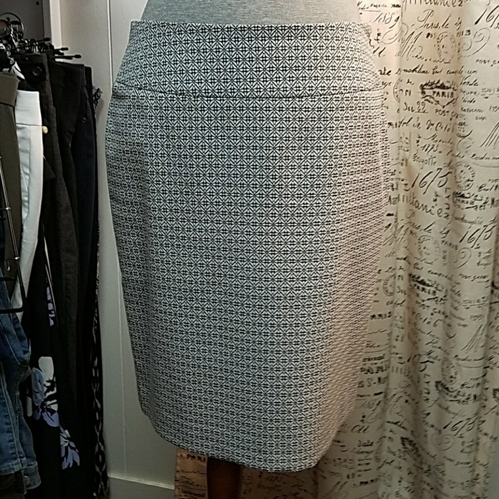 Pencil Skirt