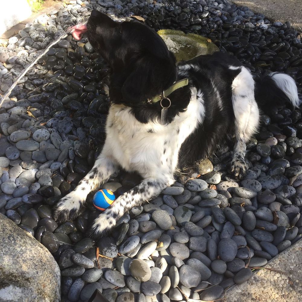 Meet your Posher, Laura