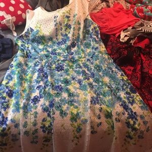 Women plus size dress