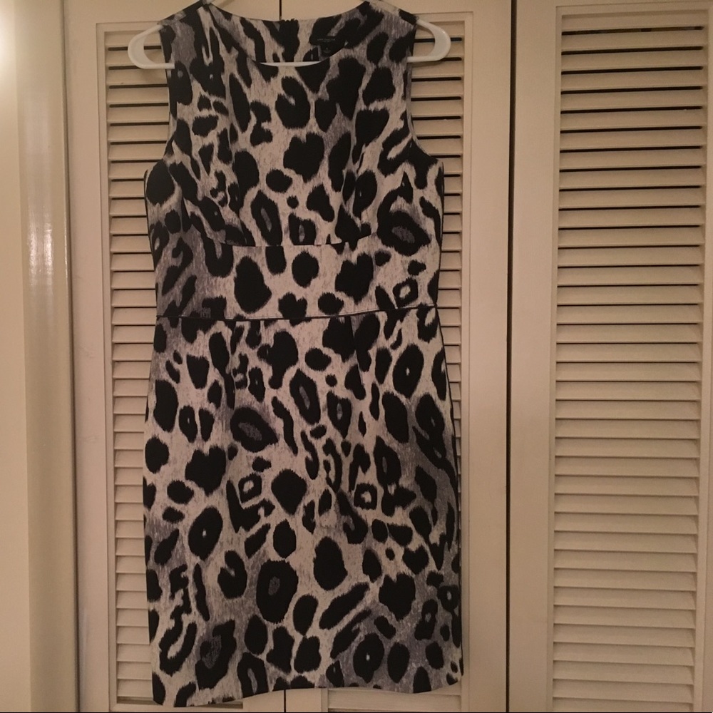 Ann Taylor Leopard print dress
