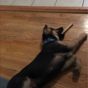 Meet your Posher, Carmella