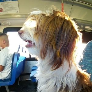 Meet your Posher, Madeline